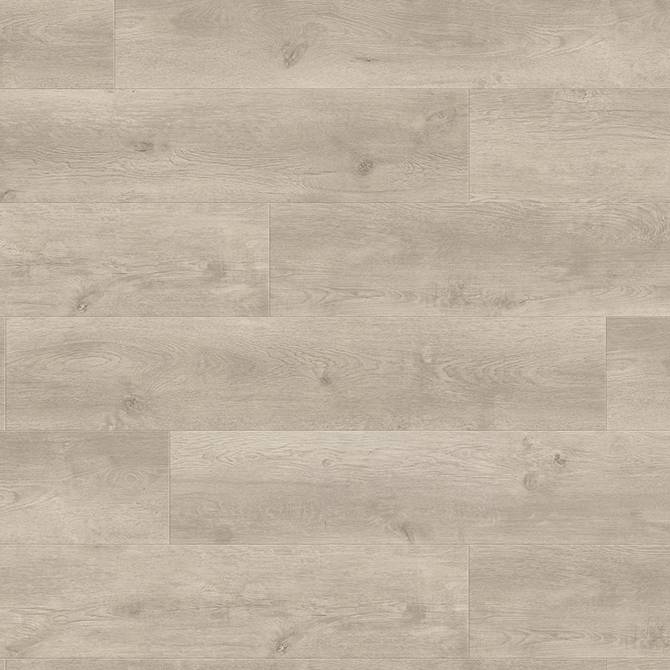 Ламинат Haro Campus 4V Дуб Bergamo серебристо-серый Silent CT 538760