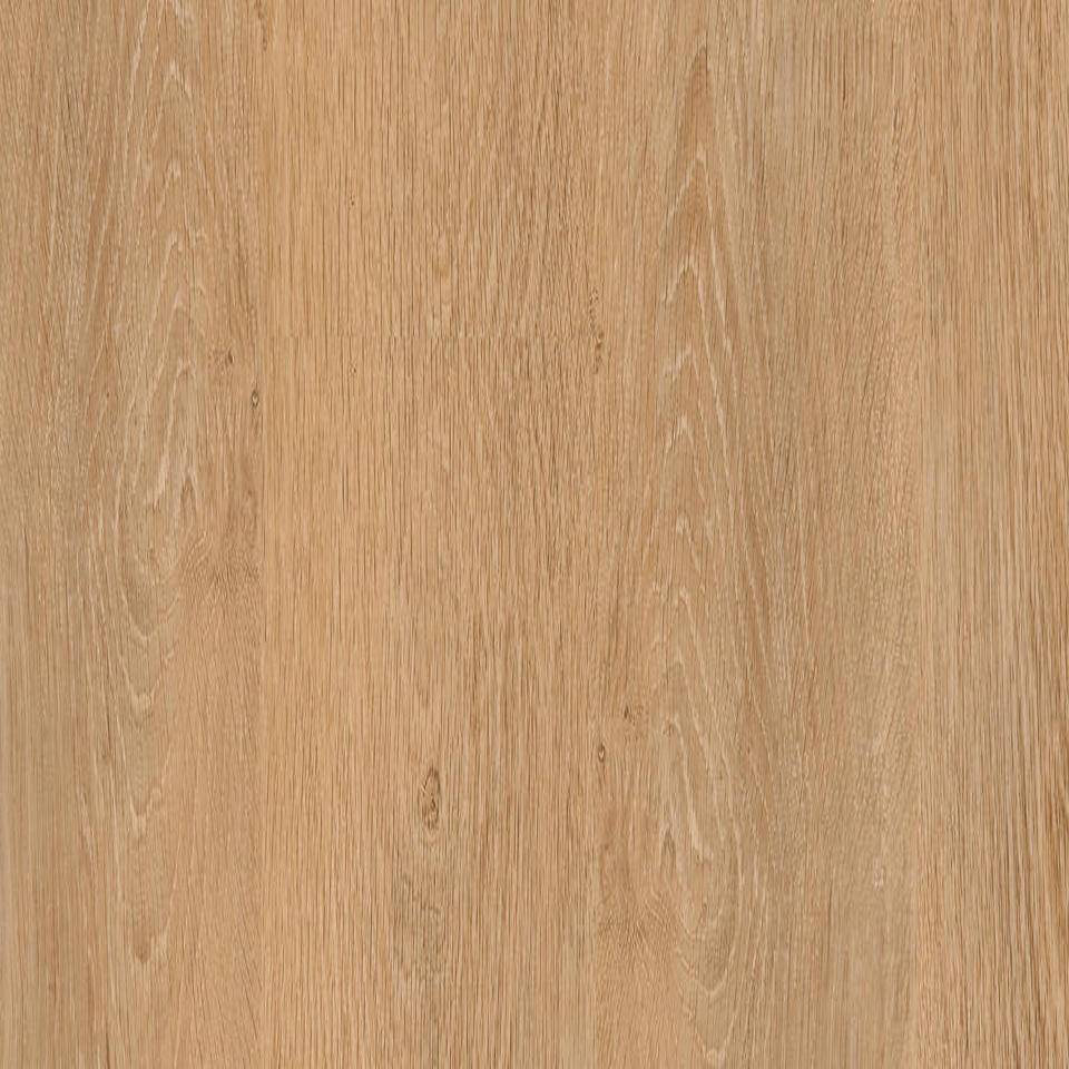 Вінілова підлога Tarkett PROGRESSIVE HOUSE JODY 277007005 Світлий