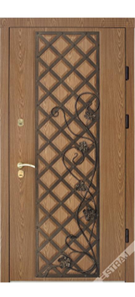 Вхідні двері Страж Град Лоза