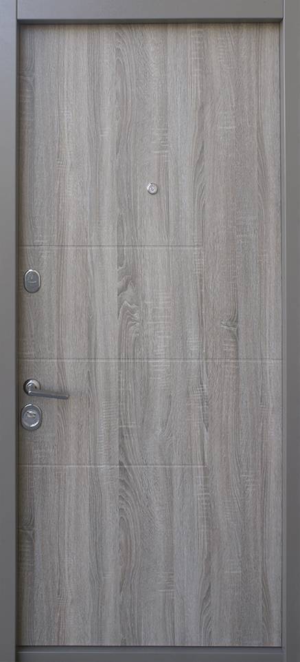 Вхідні двері Страж Quadro