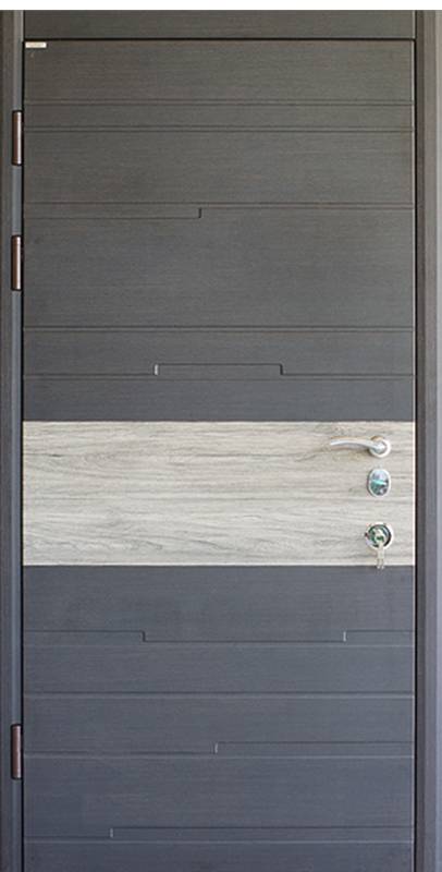 Вхідні двері Conex Статус Модель 48